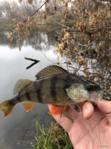 C7E52841-C1F0-4CF0-A052-F5382091EB05.jpeg