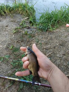 IMG_20190901_184447.jpg