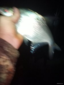 IMG_20191115_003228.jpg