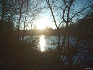 IMG_20191115_074321.jpg