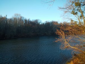 IMG_20191115_074315.jpg