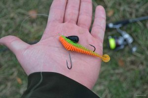 DSC_0270.JPG