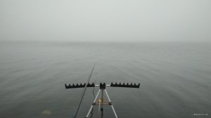 IMG_20191117_065007.jpg