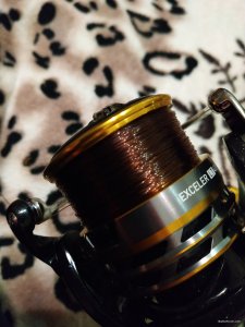 IMG_20191116_194605.jpg