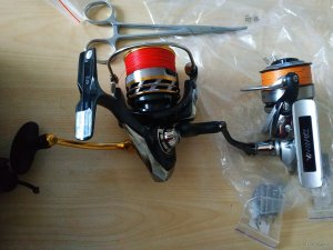 IMG_20191117_110249.jpg