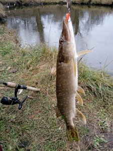IMG_20191103_142640.jpg