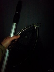 IMG_20191117_180441.jpg