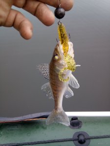 IMG_20191117_085808.jpg