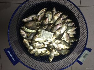 IMG_2976.JPG
