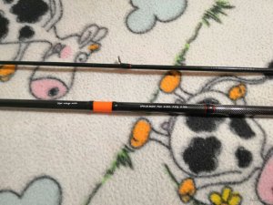 IMG_20191119_071305.jpg