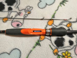 IMG_20191119_071324.jpg