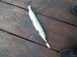 20191119_113606.jpg