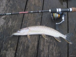 IMG_1315.JPG