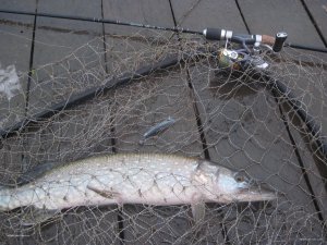 IMG_1317.JPG
