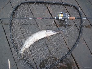 IMG_1322.JPG