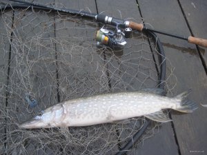 IMG_1324.JPG