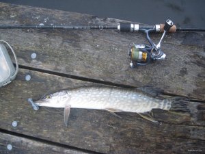 IMG_1326.JPG