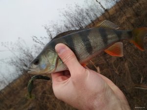 IMG_20191119_133424.jpg