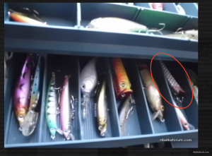 Снимок экрана 2019-11-22 в 11.56.42.png