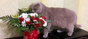 20191120_140629.jpg