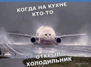 8DC5249F-46ED-46AD-BEB6-9AC27E64E4FD.jpeg