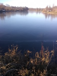 IMG_20191123_084443352.jpg