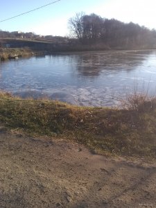IMG_20191123_084451796.jpg