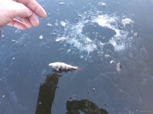20191123_093712.jpg