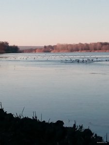 IMG_20191123_081848.jpg
