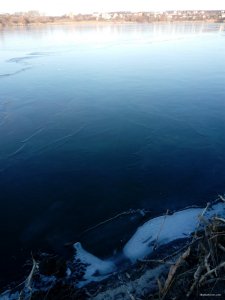 IMG_20191123_081953.jpg