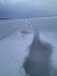 IMG_20170102_145514.jpg