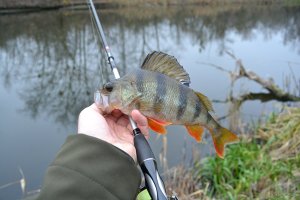 DSC_0442.JPG
