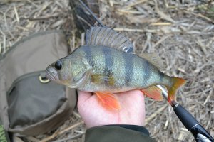DSC_0451.JPG