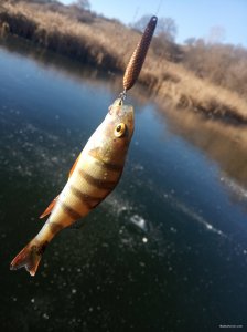 IMG_20191124_102652.jpg