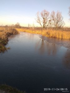 IMG_20191124_081518.jpg