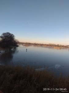 IMG_20191124_084542.jpg