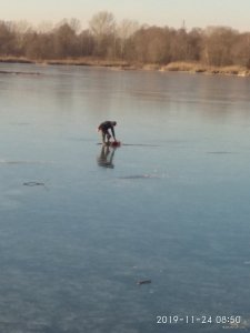 IMG_20191124_085020.jpg