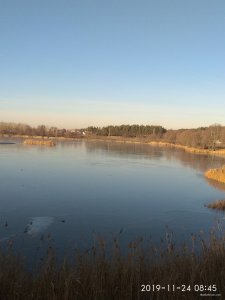 IMG_20191124_084554.jpg