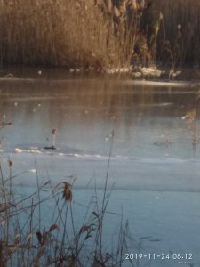 IMG_20191124_081205.jpg