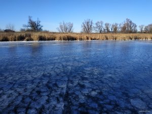 IMG_20191124_123252.jpg