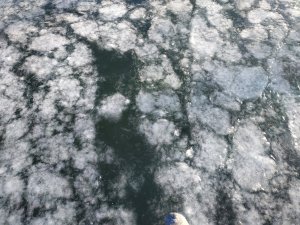 IMG_20191124_123303.jpg