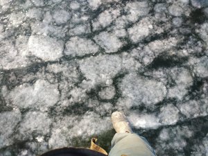 IMG_20191124_123313.jpg