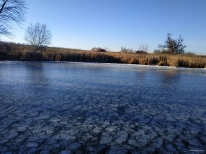 IMG_20191124_123318.jpg
