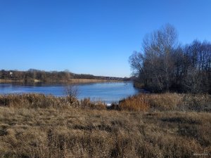 IMG_20191124_124328.jpg