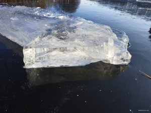IMG_20191124_131236.jpg