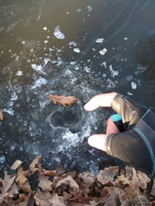 IMG_20191124_120057[1].jpg