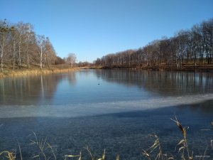 IMG_20191124_115740[1].jpg