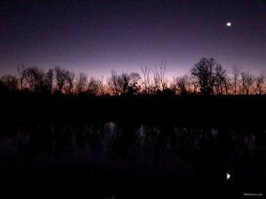 4764DBB4-60D8-45B7-A165-A2C7938687BC.jpeg