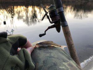 21F07D03-971E-442A-9B0F-C22B62699C74.jpeg