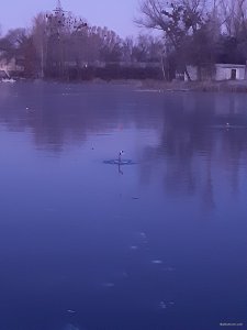 20191125_063436.jpg